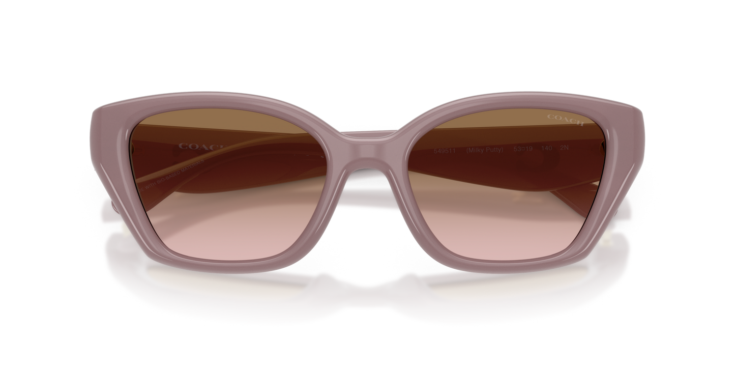 Coach HC8434U CBY91 Geometric Sunglasses - Black