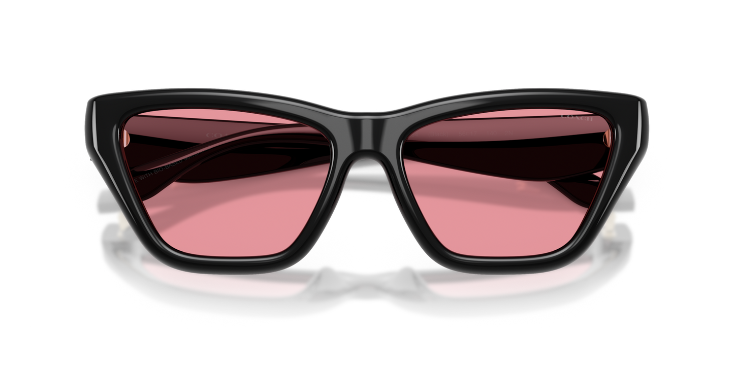 Coach HC8449U CDP33 Cat Eye Sunglasses - Caramel Tortoise