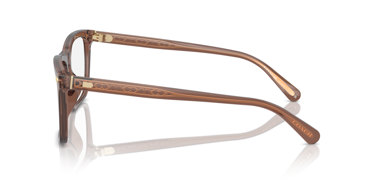 Coach HC6238U Square Eyeglasses - Transparent Pecan