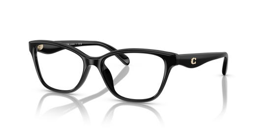 Coach HC6243U Pillow Eyeglasses - Black