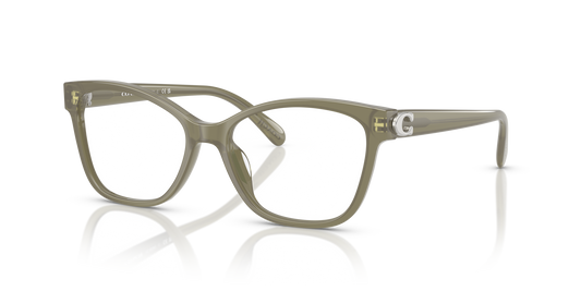 Coach HC6246U Butterfly Eyeglasses - Milky Moss