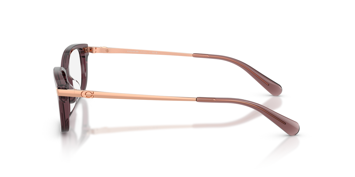 Coach HC6287U Rectangle Eyeglasses - Transparent Champagne