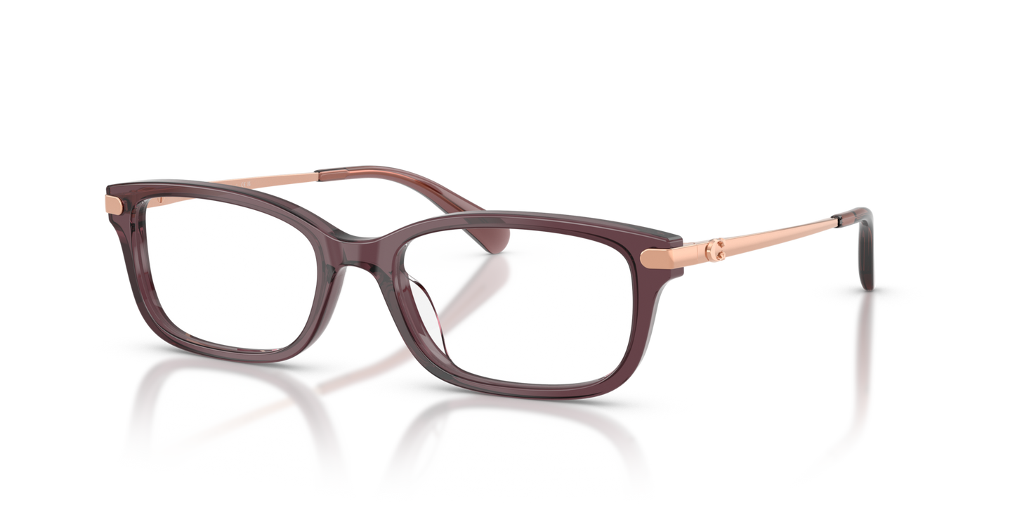 Coach HC6287U Rectangle Eyeglasses - Transparent Champagne