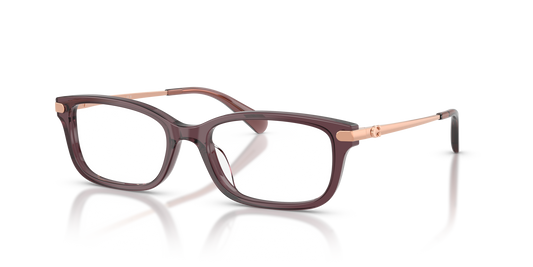 Coach HC6287U Rectangle Eyeglasses - Transparent Iris