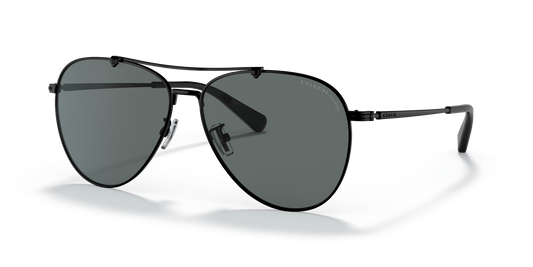 Coach HC7136 CA575 Pilot Sunglasses