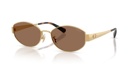 Coach HC7192D CDP44 Geometric Sunglasses - Shiny Gold