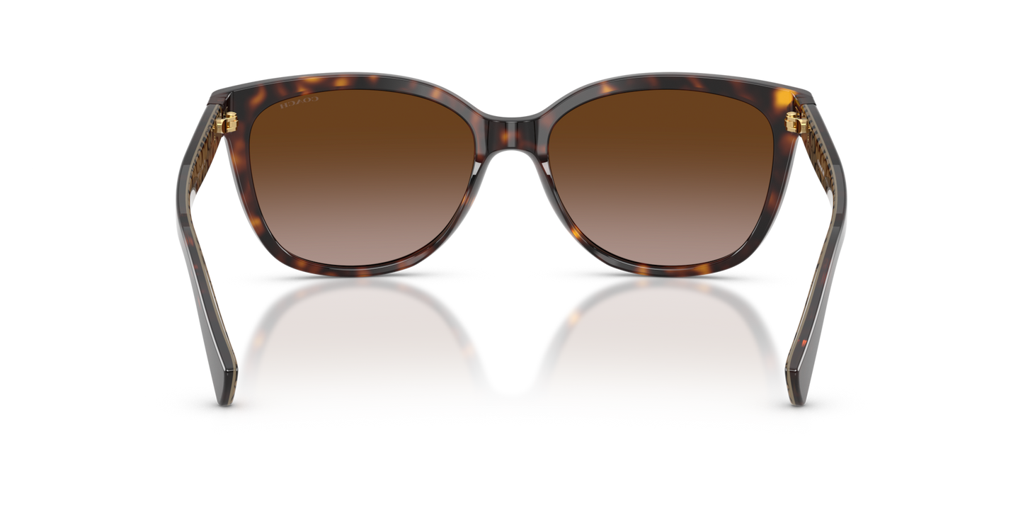 Coach HC8132 L109 Cat Eye Sunglasses