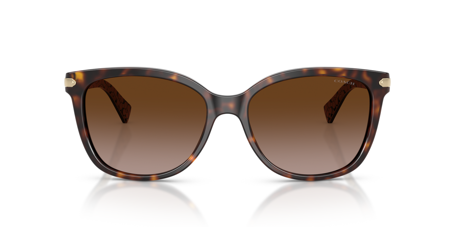 Coach HC8132 L109 Cat Eye Sunglasses
