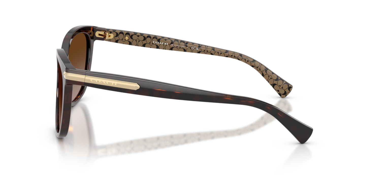 Coach HC8132 L109 Cat Eye Sunglasses