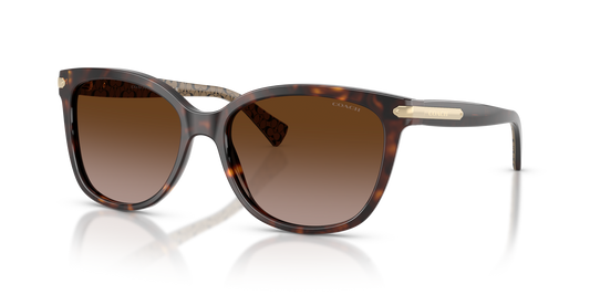 Coach HC8132 L109 Cat Eye Sunglasses