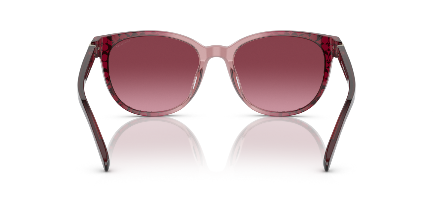 Coach HC8350U CD478 Round Sunglasses