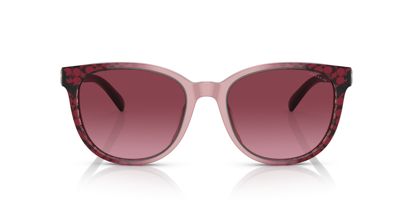 Coach HC8350U CD478 Round Sunglasses