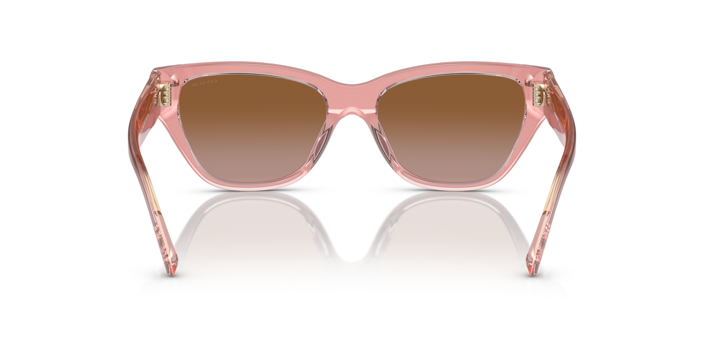 Coach HC8370U CH570 Cat Eye Sunglasses