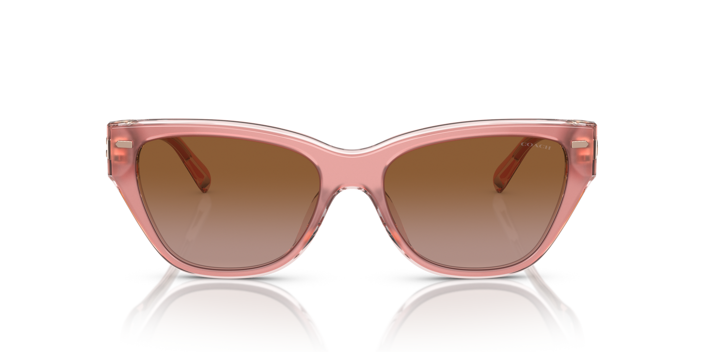 Coach HC8370U CH570 Cat Eye Sunglasses