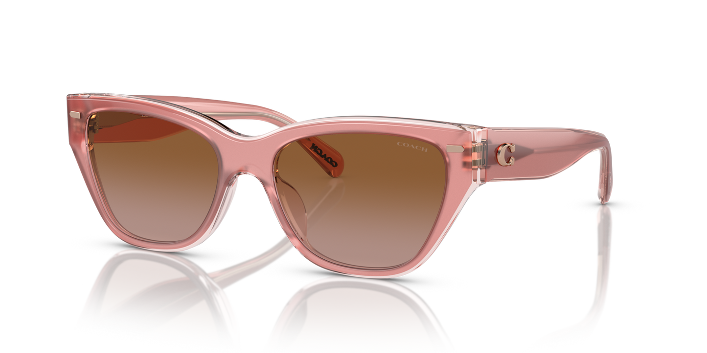 Coach HC8370U CH570 Cat Eye Sunglasses