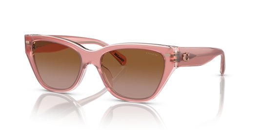 Coach HC8370U CH570 Cat Eye Sunglasses