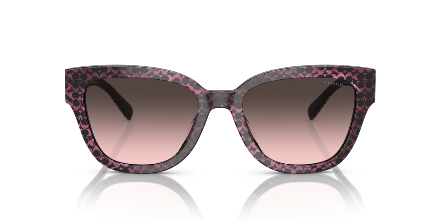 Coach HC8379U CL920 Butterfly Sunglasses - Grey Pearl Signature C
