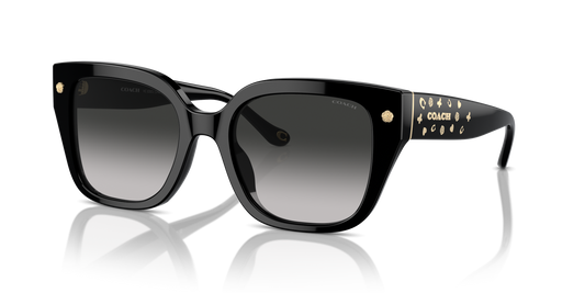 Coach HC8392U CR611 Square Sunglasses