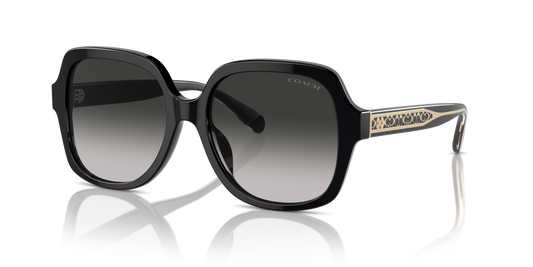 Coach HC8395U CR614 Square Sunglasses - Black