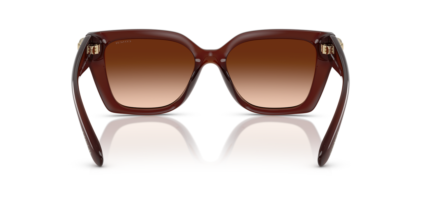Coach HC8408U CW195 Square Sunglasses - Milky Hazelnut
