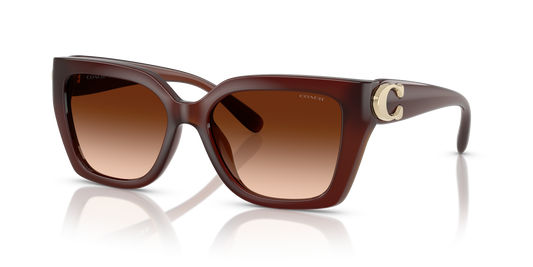 Coach HC8408U CW195 Square Sunglasses - Milky Hazelnut