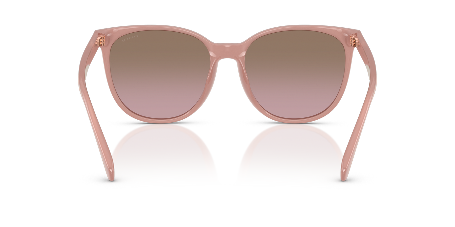 Coach HC8414BD CW428 Round Sunglasses - Milky Buff