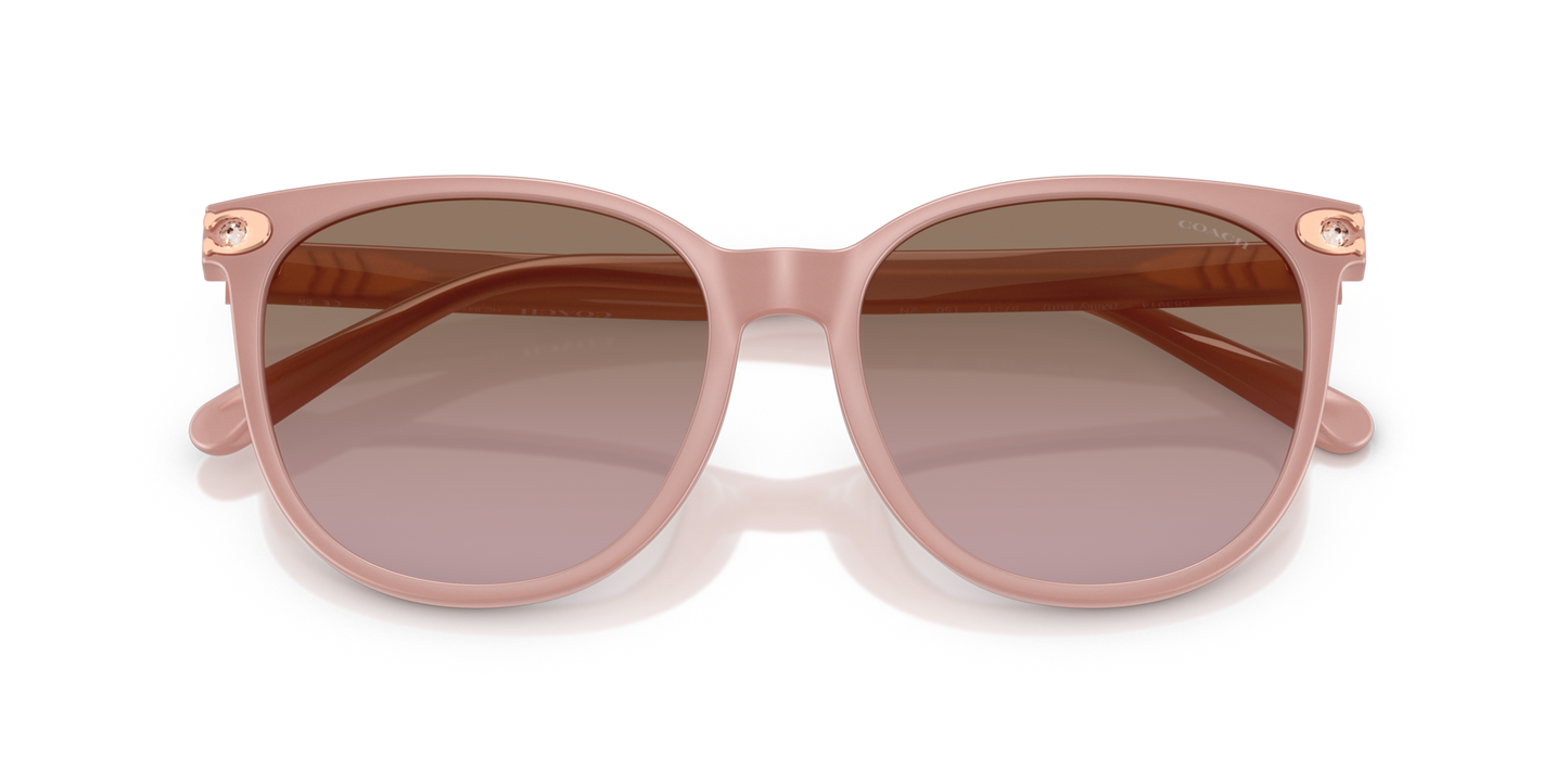 Coach HC8414BD CW428 Round Sunglasses - Milky Amber