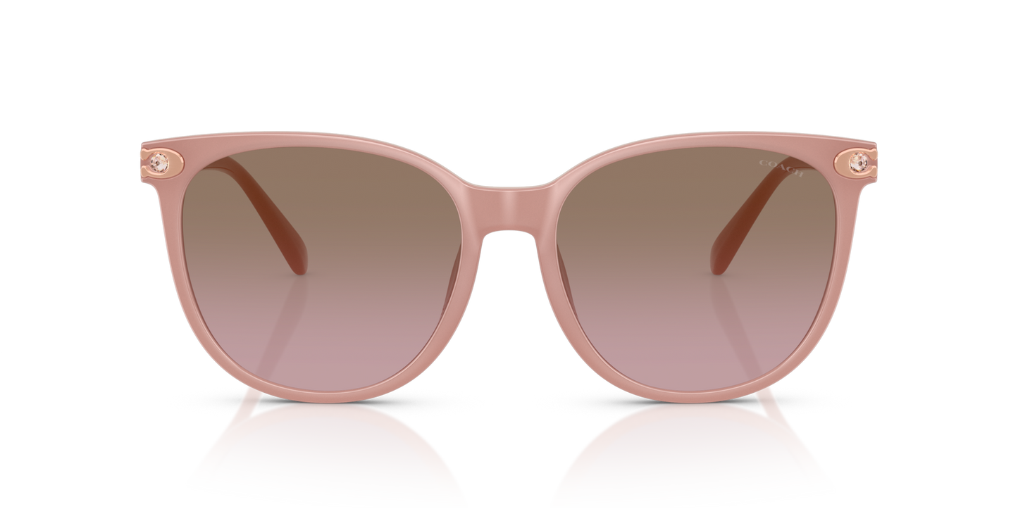 Coach HC8414BD CW428 Round Sunglasses - Milky Buff