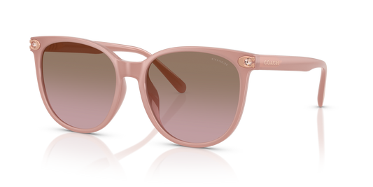 Coach HC8414BD CW428 Round Sunglasses - Milky Buff