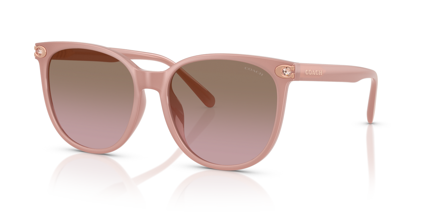 Coach HC8414BD CW428 Round Sunglasses - Milky Amber