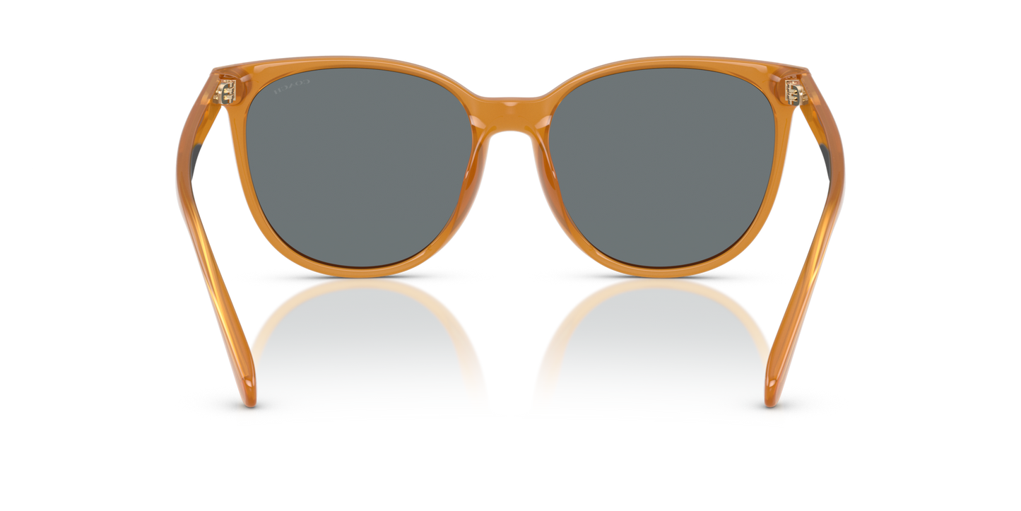 Coach HC8414BD CW428 Round Sunglasses - Milky Amber