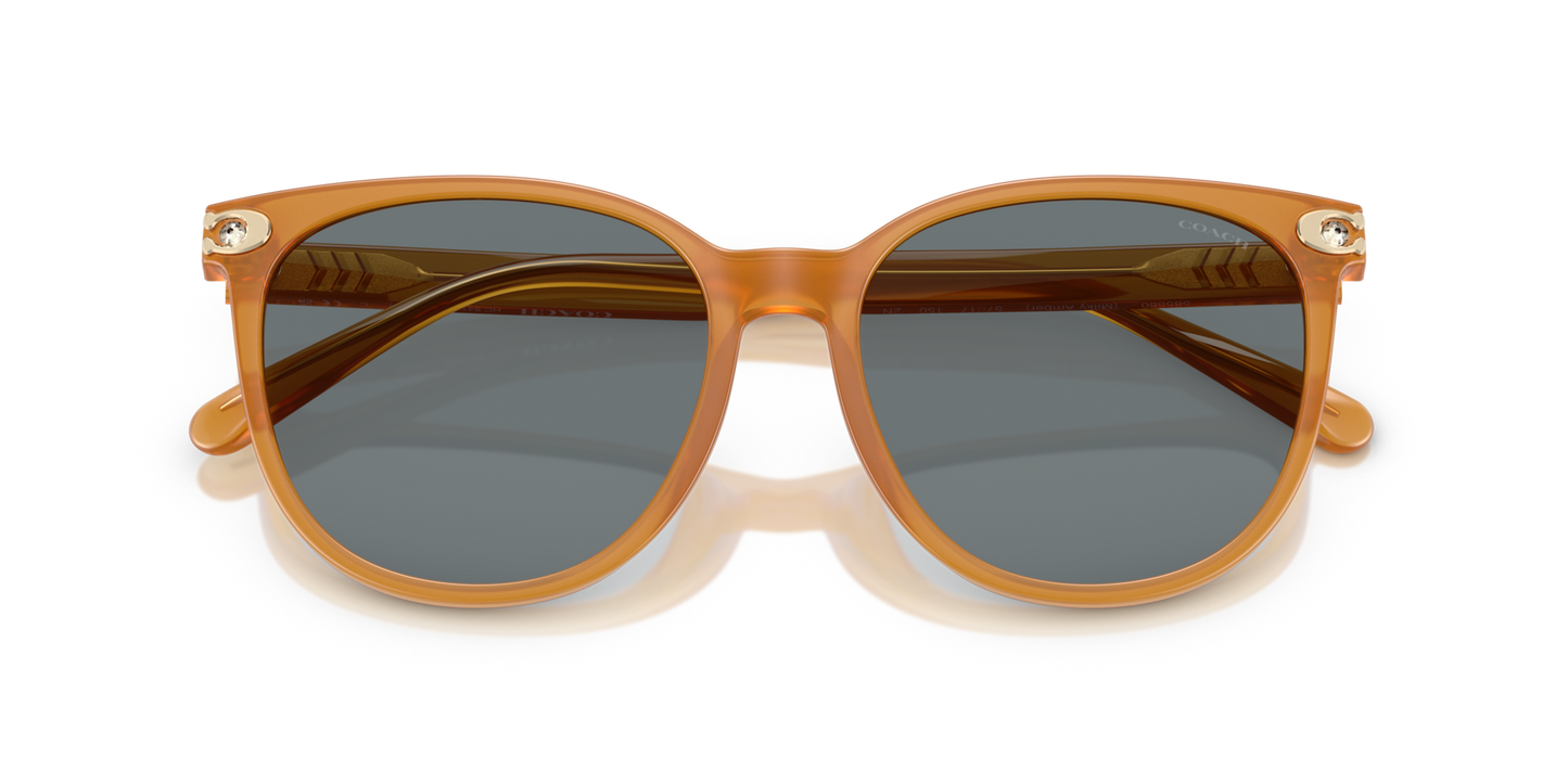 Coach HC8414BD CW428 Round Sunglasses - Milky Amber