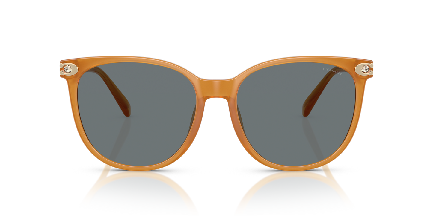 Coach HC8414BD CW428 Round Sunglasses - Milky Buff