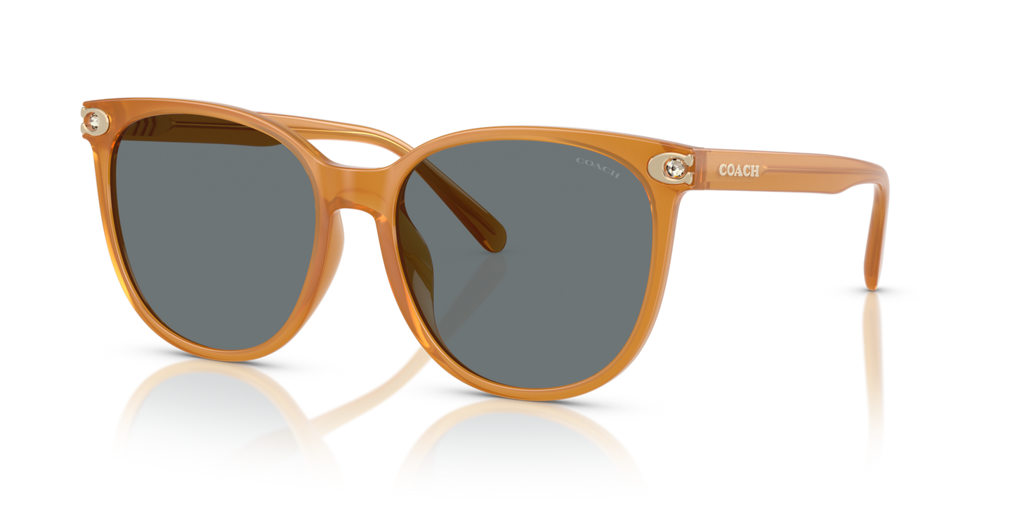 Coach HC8414BD CW428 Round Sunglasses - Milky Buff