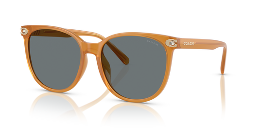 Coach HC8414BD CW428 Round Sunglasses - Milky Amber