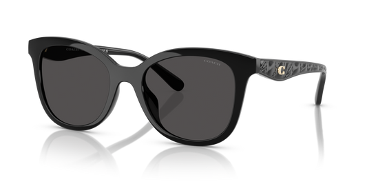 Coach HC8419U CAD25 Square Sunglasses - Black