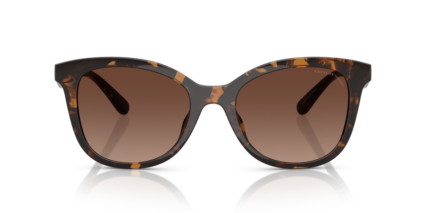 Coach HC8419U CAD25 Square Sunglasses - Black