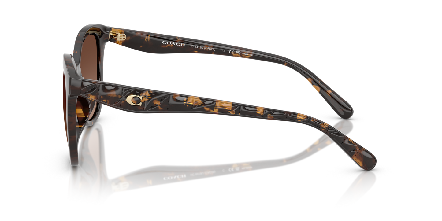 Coach HC8419U CAD25 Square Sunglasses - Dark Tortoise