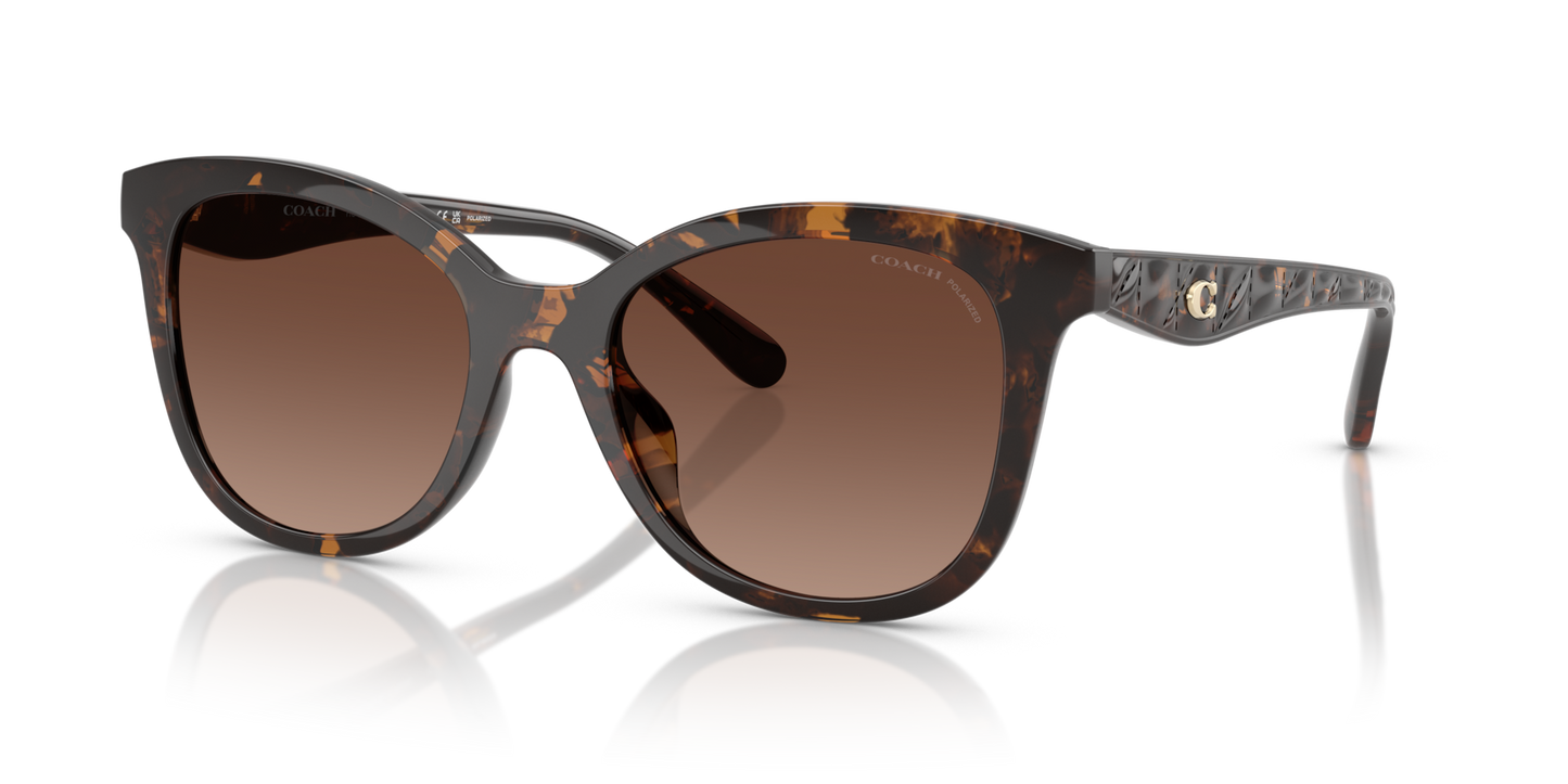 Coach HC8419U CAD25 Square Sunglasses - Dark Tortoise