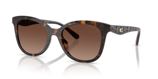 Coach HC8419U CAD25 Square Sunglasses - Dark Tortoise