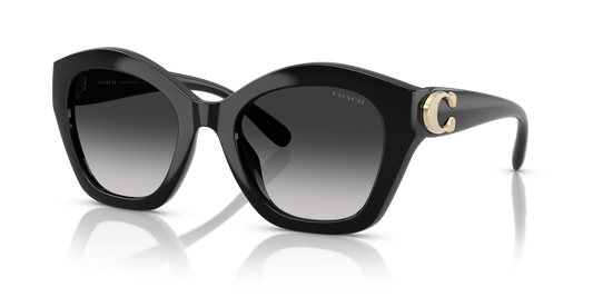 Coach HC8421U CAD31 Geometric Sunglasses - Black