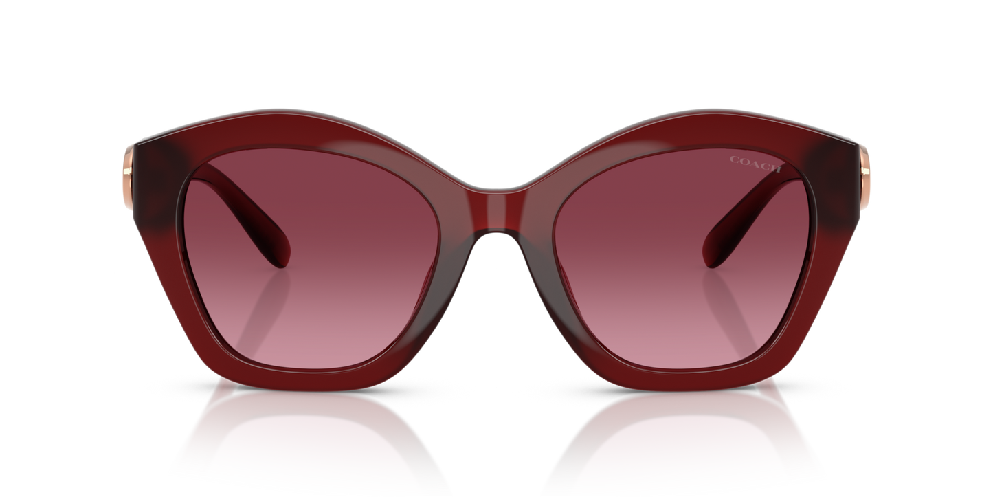 Coach HC8421U CAD31 Geometric Sunglasses - Black