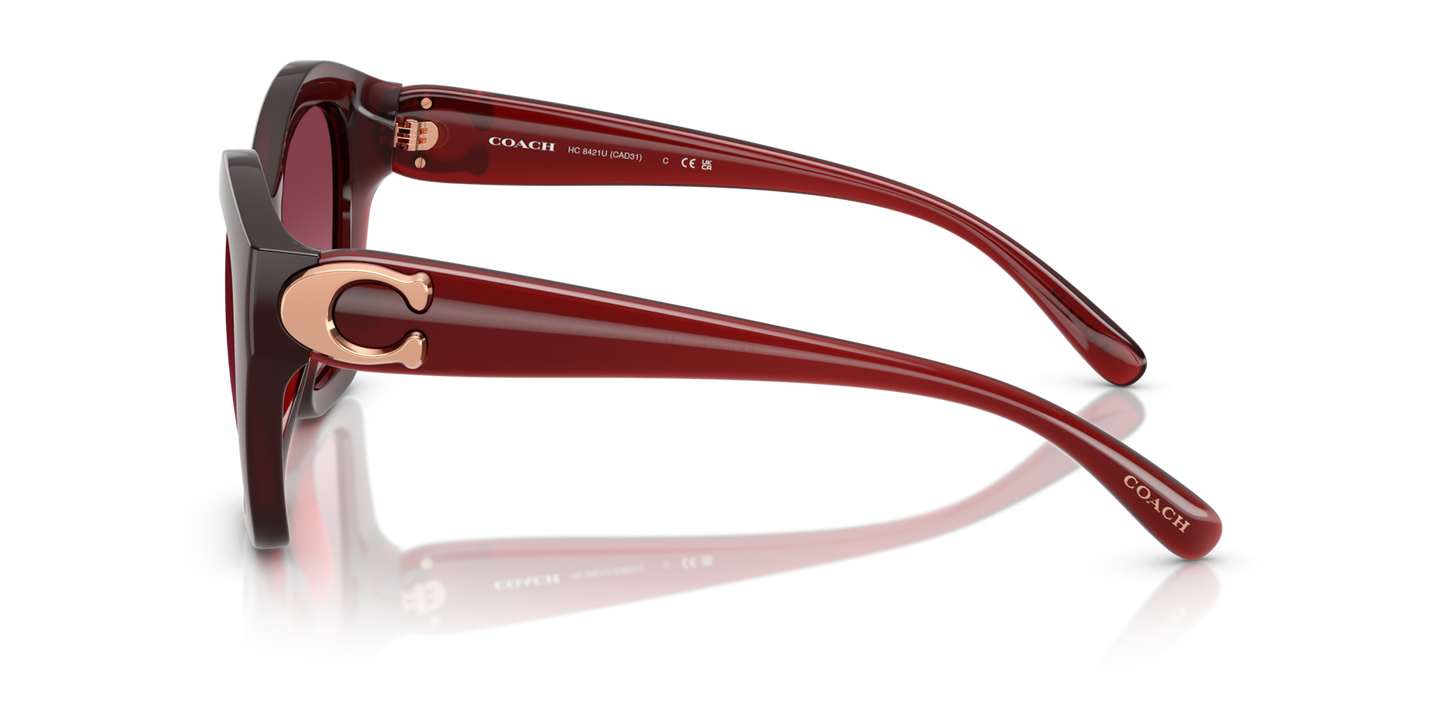 Coach HC8421U CAD31 Geometric Sunglasses - Milky Burgundy
