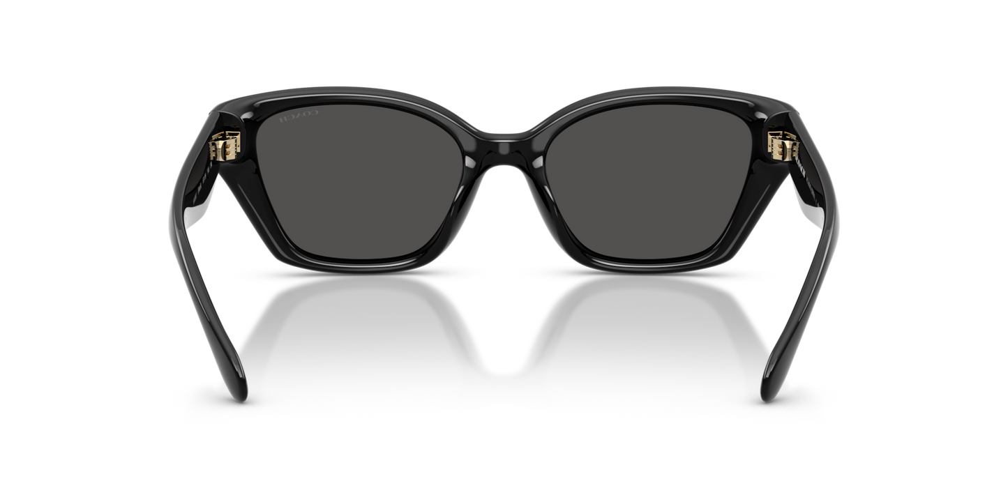 Coach HC8434U CBY91 Geometric Sunglasses - Milky Putty