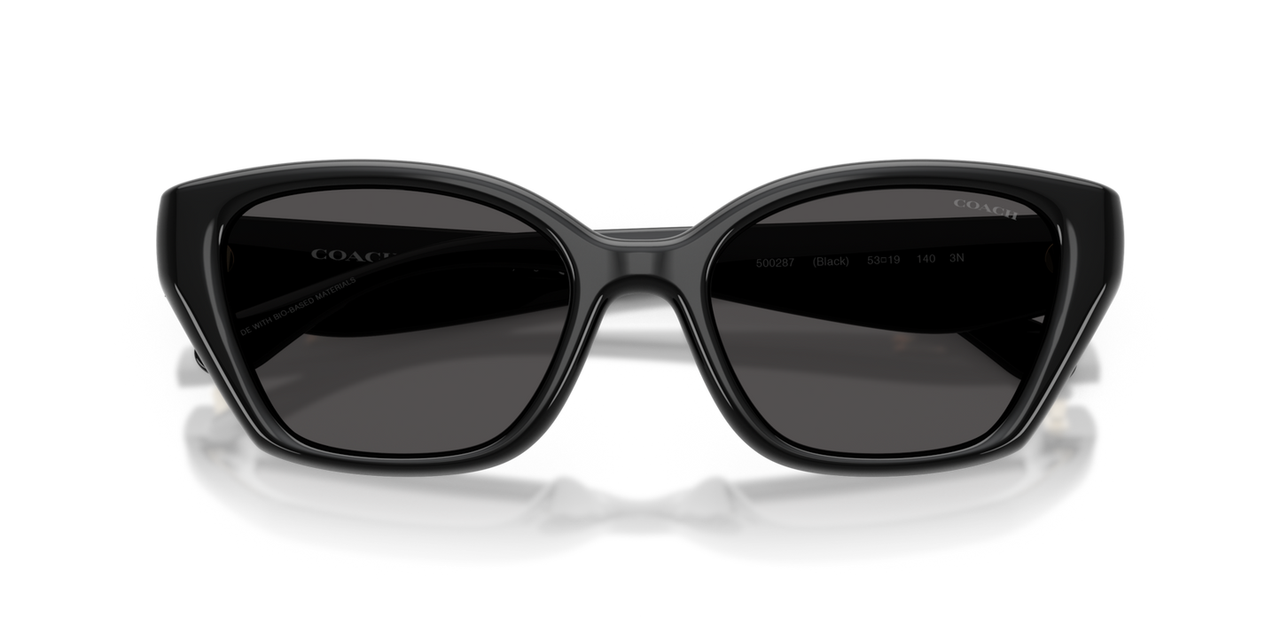 Coach HC8434U CBY91 Geometric Sunglasses - Black