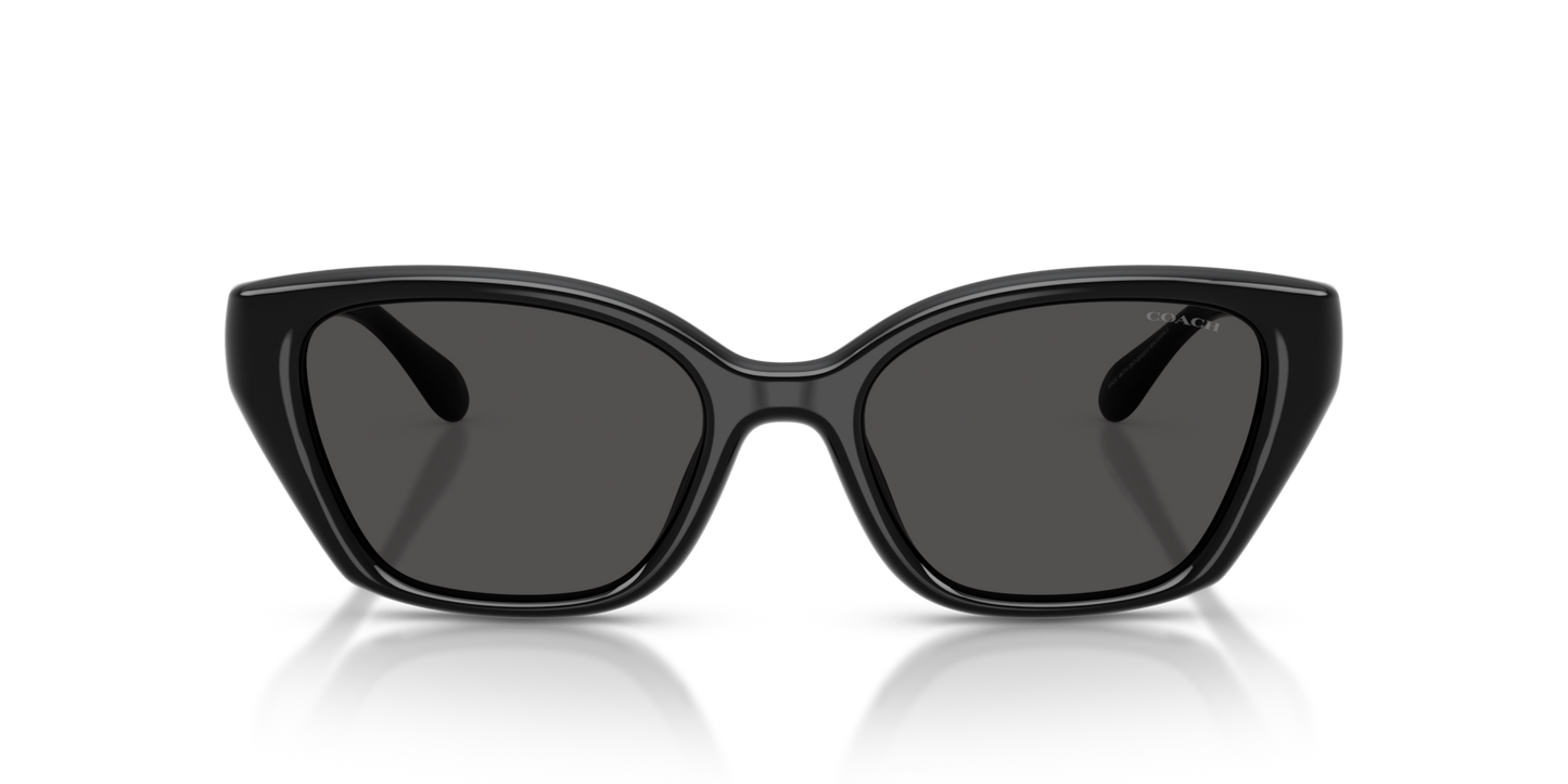 Coach HC8434U CBY91 Geometric Sunglasses - Milky Putty