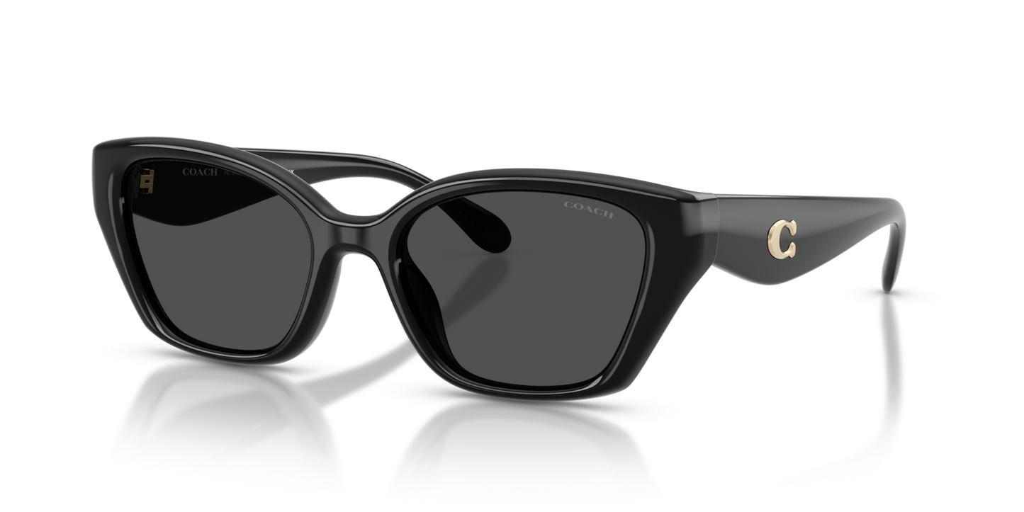 Coach HC8434U CBY91 Geometric Sunglasses - Milky Putty