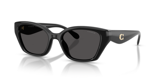 Coach HC8434U CBY91 Geometric Sunglasses - Black