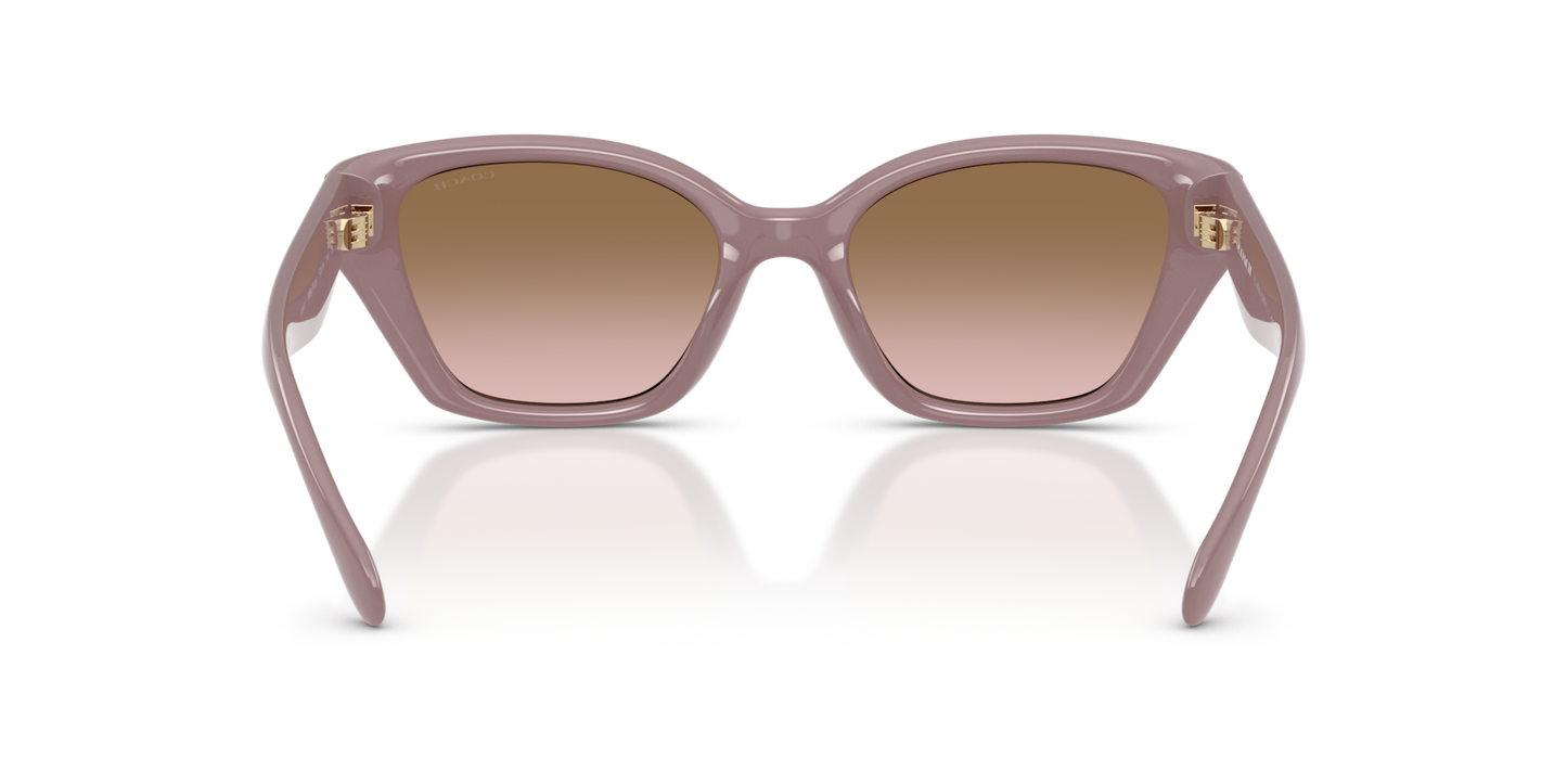 Coach HC8434U CBY91 Geometric Sunglasses - Black