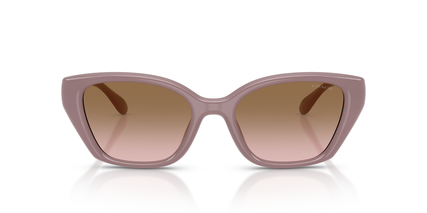 Coach HC8434U CBY91 Geometric Sunglasses - Milky Putty